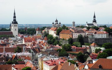 Eski şehir Tallinn, Estonya.