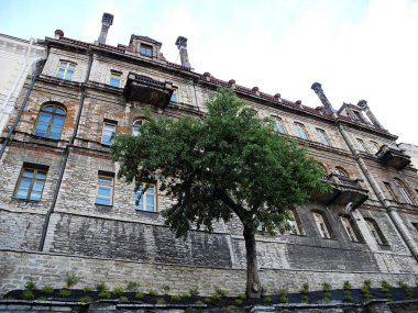 Tallinn 'de eski ev ve ağaç.