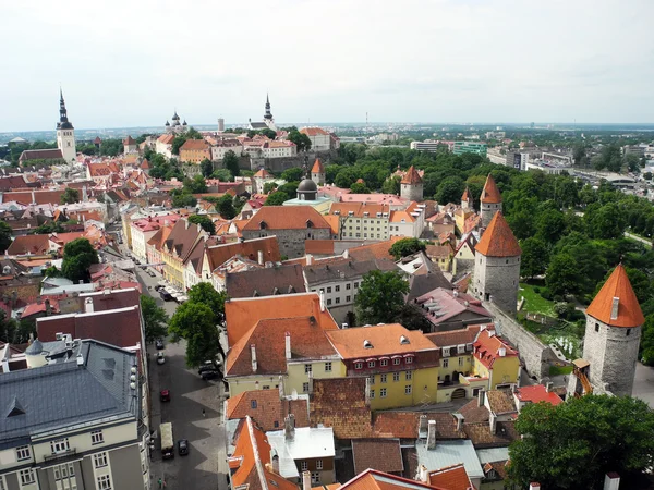 Eski şehir Tallinn.
