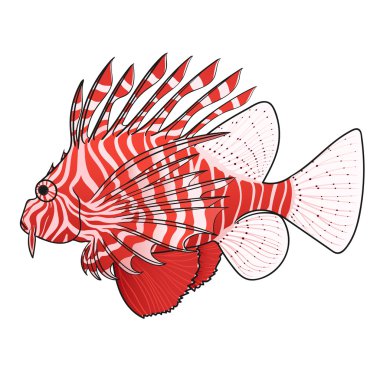 Lionfish. Venomous marine fish. clipart