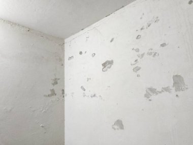 Dertli Beyaz Duvar Köşesi Soyulmuş Boya ve Grunge Dokusuyla