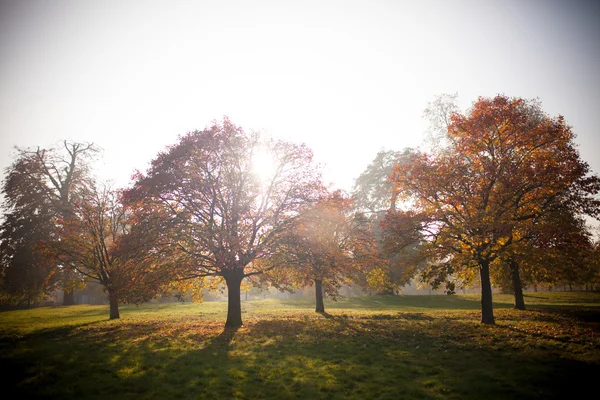 Hermoso otoño en Inglaterra parque — Foto de Stock