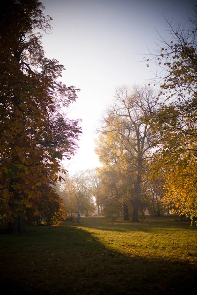 Beautiful autumn in England park — Stock Photo, Image