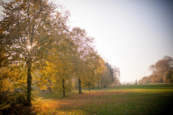 Belo outono no parque da Inglaterra — Fotografia de Stock