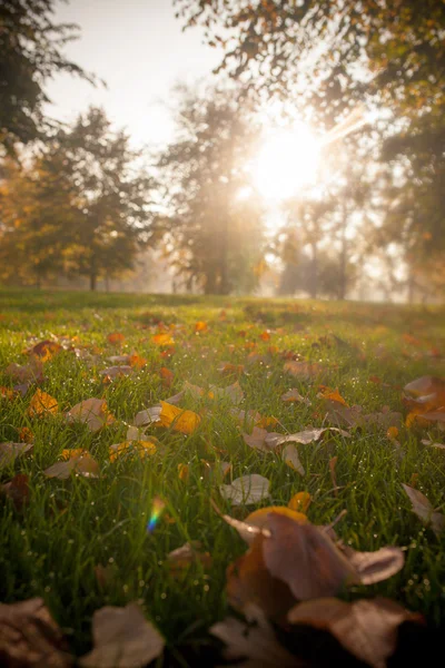 Beautiful autumn in England park — Stock Photo, Image