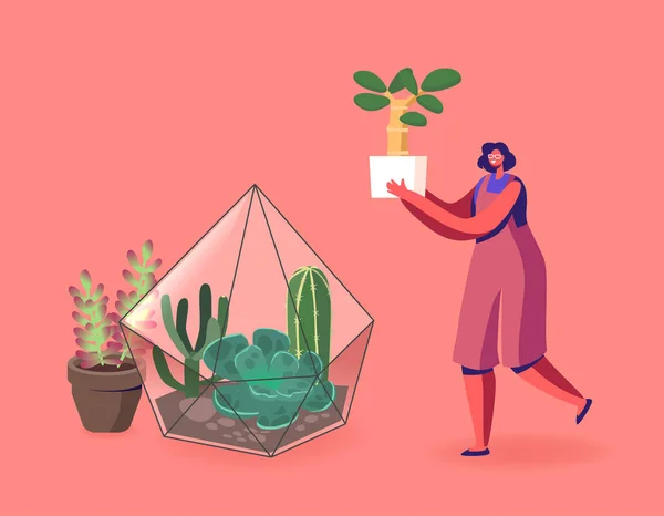 Zahradnictví, květinářství Hobby. Ženský pěstujou rostliny v Terarijní koncepci. Ženská postava roste kaktusy a sukulenty — Stockový vektor