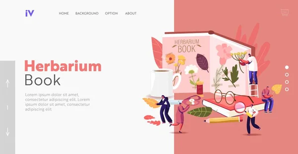 Herbarium Hobby Landing Page Template. Tiny Characters Collecting Herbs, Grass and Twigs, Natural Field Plants, Album — ストックベクタ