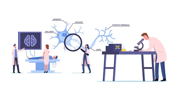 Científicos Personajes Usando Túnica Médica Blanca Aprendiendo Cerebro Humano en Laboratorio con Esquema de Dendrita, Cuerpo Celular — Archivo Imágenes Vectoriales