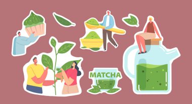 Matcha Tea Etiketleri Seti İçen İnsanlar. Yeşil Çay Yaprakları ve İçecek İçin Toz Kullanan Erkek Kadın Karakterler