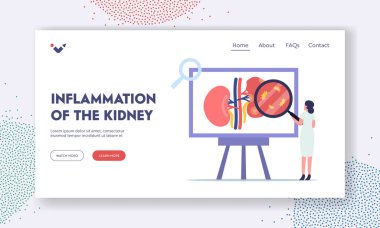 Böbrek İltihaplanması İniş Şablonu. Pyelonefrit, Küçük Doktor Nefrolog Karakteri Tıbbi Araştırma Yapıyor