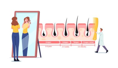 Woman Admire of her Shag in Mirror. Tiny Doctor Character with Huge Comb at Infographics Hair Growth and Loss Cycles clipart