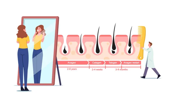 Mujer Admire de su Shag en Espejo. Pequeño personaje médico con peine enorme en Infografías Ciclos de crecimiento y pérdida del cabello — Vector de stock