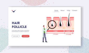 Saç Folikülleri İniş Sayfa Şablonu. Bilgi Grafiklerinde Büyük Camlı Küçük Doktor Saç Uzamasını ya da Kayıp Döngüsünü Temsil Ediyor