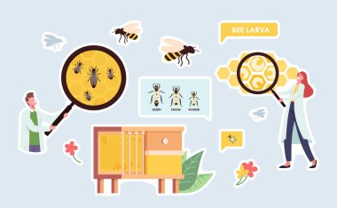 Çıkartma Apiary, Biyoloji Bilim Teması. Dev Büyüteçle Bilim Adamı Karakteri, Arı Kovanı Arıları, Kraliçe