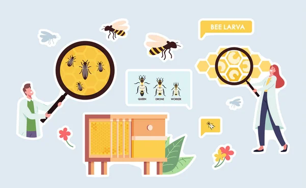 Conjunto de Apiário de Adesivos, Tema de Ciências Biológicas. Personagem de cientista com enorme lupa, abelhas na colmeia, rainha —  Vetores de Stock