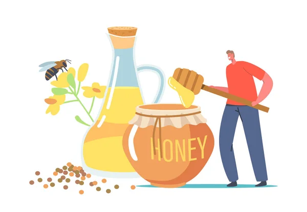 Ekologisk naturlig mat, liten biodlare karaktär som håller enorm Dipper med raps raps raps honung nära glasburk med olja — Stock vektor