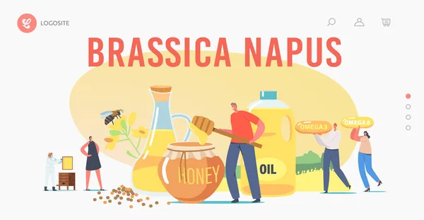 Brassica Napus Modelo de Página de Aterragem. Personagens Extraindo óleo de canola de colza e mel. Produção Apiária — Vetor de Stock