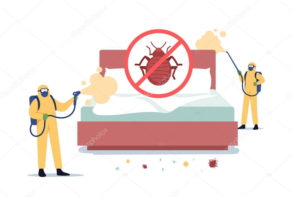 Bedbugs Extermination Professional Service. Pest Control Exterminators Doing Room Disinsection against Bed Bugs