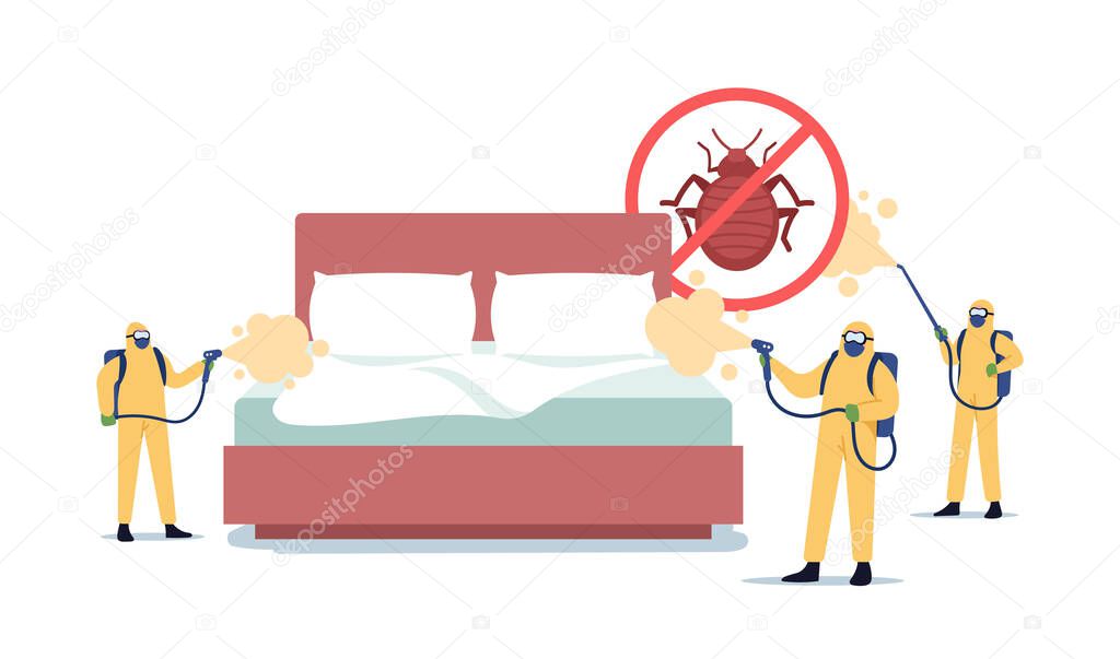 Professional Pest Control Service Doing Room Disinsection against Bed Bugs. Exterminators Spraying Toxic Liquid