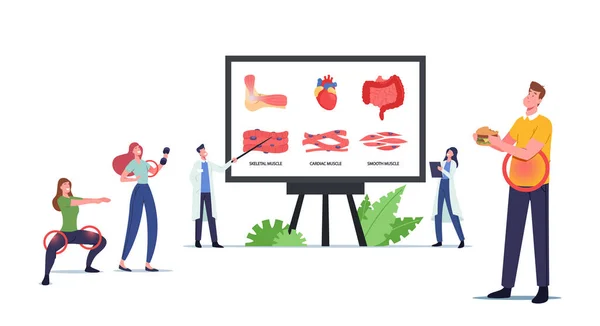 Salud Muscular, Medicina. Personajes en el tablero enorme con infografías que presentan músculos esqueléticos, cardíacos y lisos — Vector de stock