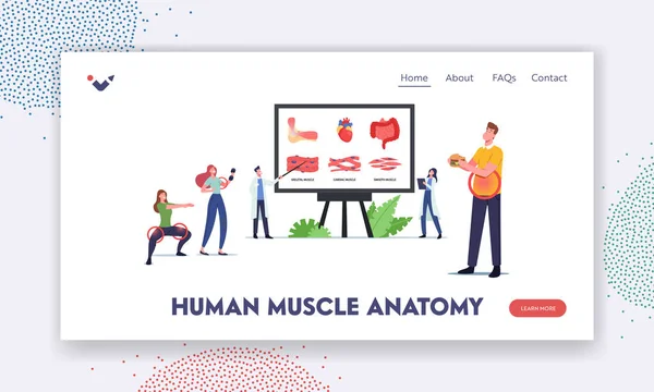 Modelo de página de aterrissagem de anatomia muscular humana. Personagens a bordo com Infográficos Músculos Esqueléticos, Cardíacos e Suaves — Vetor de Stock