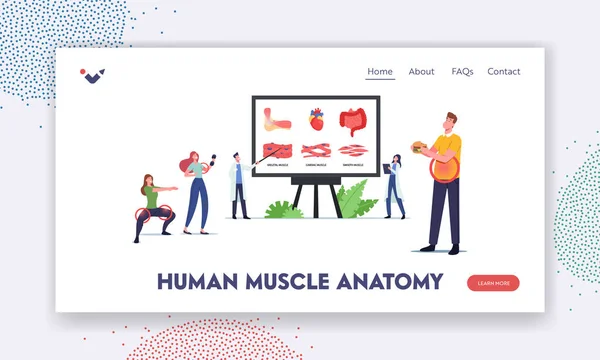 Mall för landningssida för mänsklig muskelanatomi. Karaktärer ombord med Infographics Skeletal, Hjärta och smidiga muskler — Stock vektor