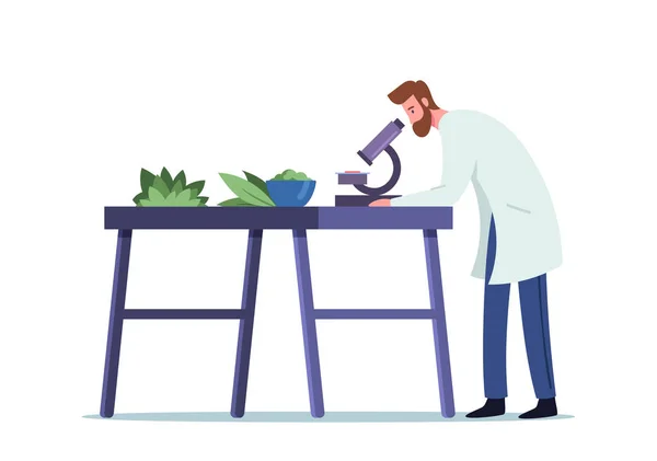 Propiedades de la Investigación Farmacéutica Masculina de Plantas Naturales a través del Microscopio en Laboratorio para Hacer Homeopatía — Vector de stock