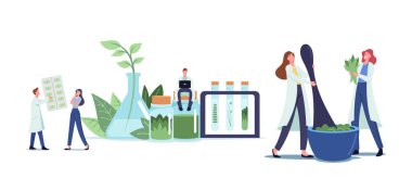 Laboratuvarda Doğal Bitkisel İlaç Araştırmaları. Geleneksel Tıp Konsepti. Bilim adamı Doktor Karakterleri Uyuşturucu Yapıyor