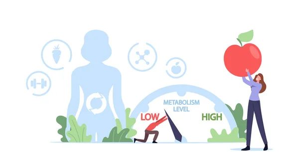 Metabolism av mänskligt organismkoncept. Tiny Character Flytta pilen för att öka metabola systemnivå. Diet Livsmedel för energi — Stock vektor