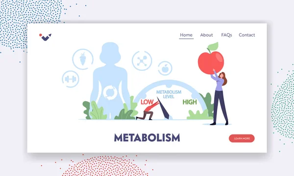 Modelo de Landing Page do Metabolismo Humano. Caráter minúsculo mover seta para aumentar o nível do sistema metabólico, digestão —  Vetores de Stock