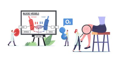 Tiny Doctors, damar ve damar bilgilerindeki kan dolaşımını sunuyor. Büyüteçli Sıhhiye Ağ 'a bakıyor