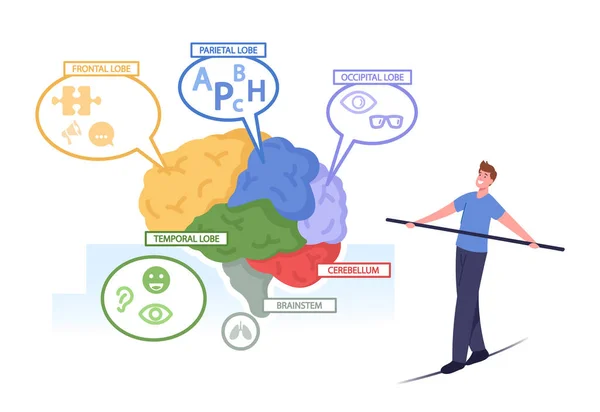 Pequeno personagem masculino balanceamento na corda na enorme anatomia do cérebro humano separado em peças coloridas frontais, lóbulos temporais —  Vetores de Stock