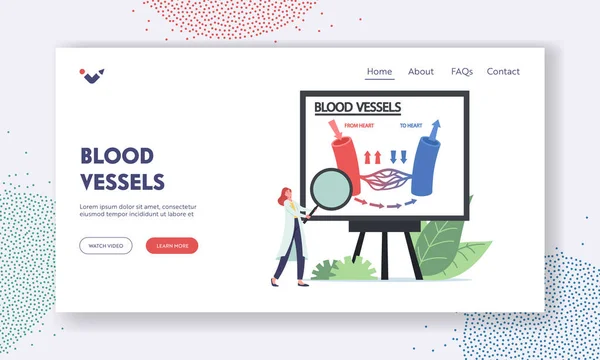 Blood Vessels Landing Page Template. Tiny Doctor with Magnifier Presenting Infographics of Blood Circulation in Vein — Stockvektor