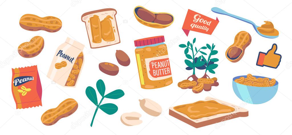 Peanut Butter in Glass Jar, Snack in Package and Plant. Peeled and Unpeeled Nuts, Cereal Protein Breakfast, Healthy Energy Food, Peanut in Shell, Clean Seeds. Cartoon Vector Illustration, Icons Set