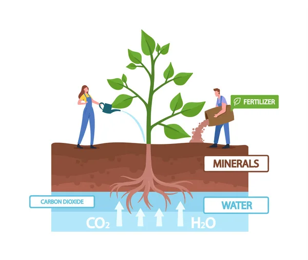 Caractères minuscules fertilisant et arrosant la plante verte énorme convertissant l'énergie légère pendant le processus de photosynthèse — Image vectorielle