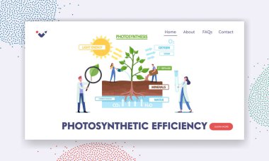 Fotosentez Verimlilik İniş Sayfa Şablonu. Gün Işığı Değişikliklerini Sunan Bilgi Grafiklerindeki Küçük Bilim Adamları Karakterleri