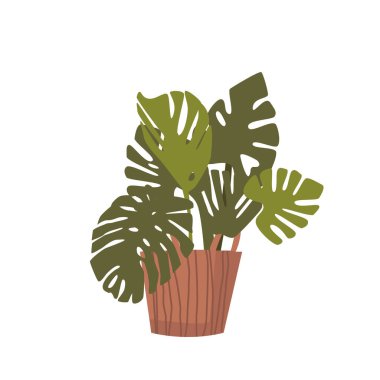 Monstera Saksı Palmiye Ağacı, Çiçek Saksısı 'nda Yerli Bitki. Tencerede Tropikal Dekoratif Avuç. Botanik Grafik Tasarım Elemanı