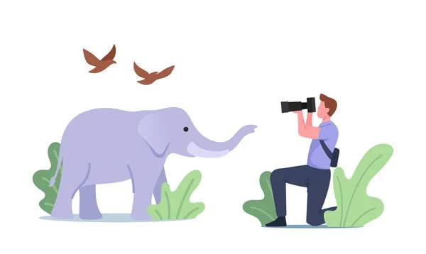 Photographer Character Shoot Elephant and Birds Making Low-frequency Infra Sound Waves with Frequency — 图库矢量图片