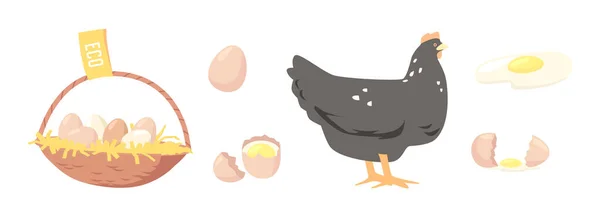 Σετ με αυγά στο καλάθι, σπασμένο κέλυφος, κοτόπουλο. Γεωργία Farmer Production, Βιολογικά στοιχεία σχεδιασμού γεωργικών τροφίμων, Εικόνες — Διανυσματικό Αρχείο