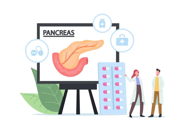 Lékařská koncepce léčby pankreatitidy. Drobné Doktor postavy v bílém lékařském plášti Podívejte se na obrovské pankreas Infographics — Stockový vektor
