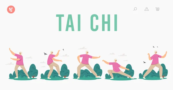 Tai Chi İniş Şablonu. Sağlıklı Esneklik ve Sağlıklı Yaşam İçin Egzersiz Yapan Yaşlı Kadın. Kıdemli Karakter Çalışması — Stok Vektör