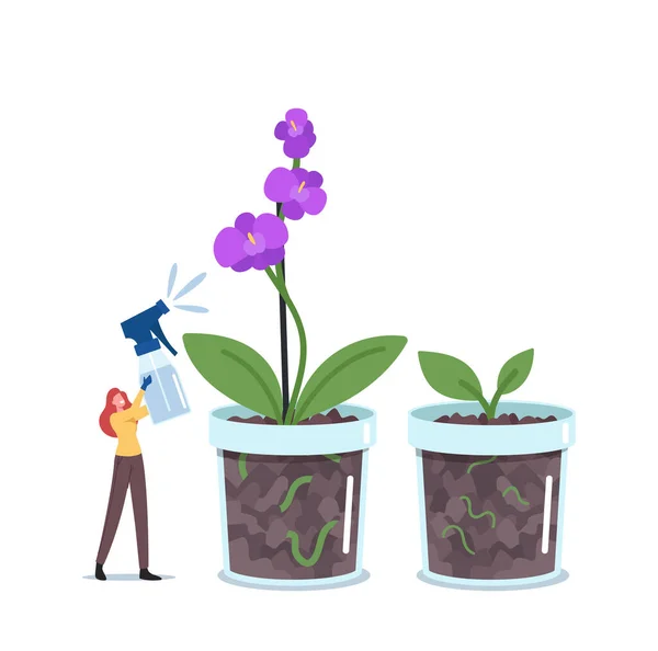 Крошечная женщина-ботаник поливает или опрыскивает огромную орхидею Фаленопсисом завод в цветочном горшке. Садоводческое хобби, экзотический цветок — стоковый вектор