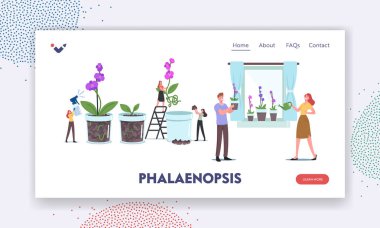Phalaenopsis İniş Sayfa Şablonu. Minik Erkek ve Kadın Karakterler Ev Penceresi, Bahçıvanlık 'ta Saksıda Orkideler Büyütür