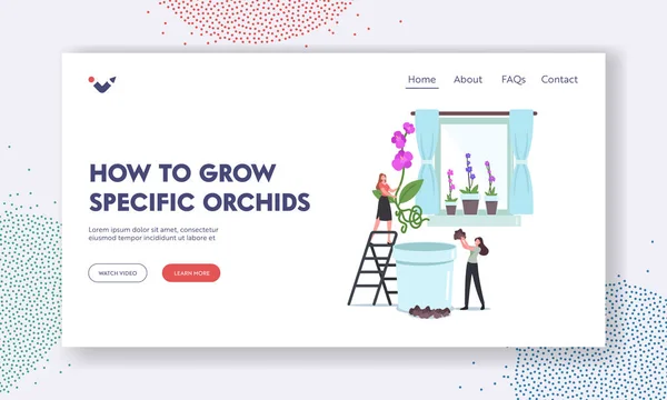 Hoe te groeien specifieke orchideeën landing pagina sjabloon. Kleine vrouwelijke karakters planten enorme orchidee Phalaenopsis Bloemen — Stockvector