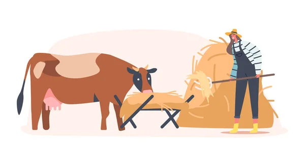 Junge Bäuerin füttert Kuh und steckt Stroh in Trog Weiblicher Charakter bei der Arbeit Prozess der Pflege von Hausrindern — Stockvektor
