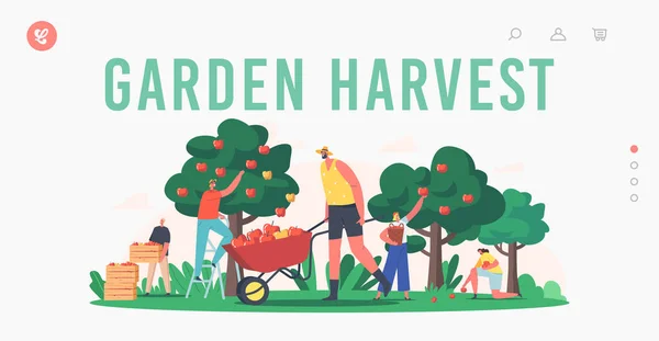 Plantilla de Landing Page de cosecha de jardín. Personajes Cosechando manzanas en huerto, Jardineros recogiendo la cosecha de frutas — Archivo Imágenes Vectoriales