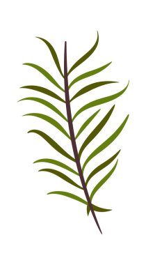 Evergreen ağaç dalı Noel dekorasyonu çizgi film elementi