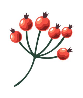 Rowan böğürtlen demeti kış süslemesi Noel sembolü