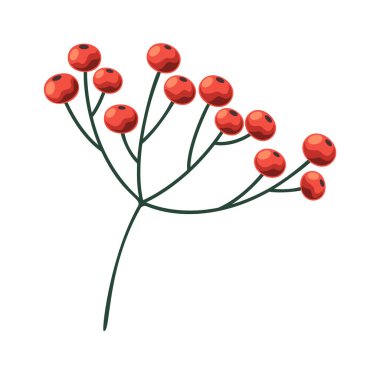 Kızılcık ağacı dalları Kış mevsimi Noel süslemeleri