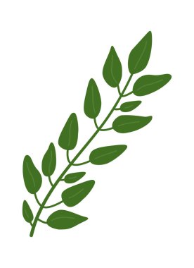 Yaprak dalı organik şekilli ve botanik temalar için temiz hatlı. Elle çizilmiş gövde ve yapraklar doğal marka ve ambalaj için uygun. Vektör illüstrasyonu